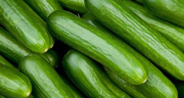 6 Remarkable Benefits of Eating Cucumber